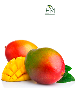 MANGO-TOMMY_result-1.png