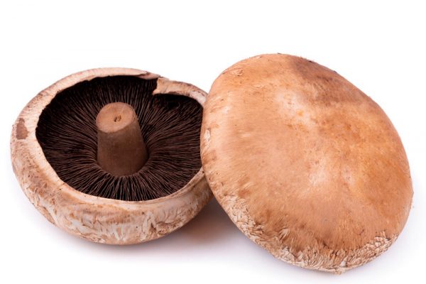 CHAMPIÑON-PORTOBELLO