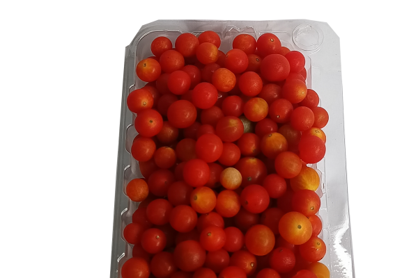 tomate perla